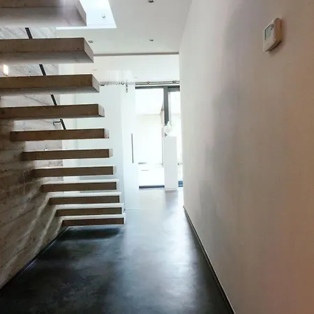 Betonnen Boshuis By Droomvilla