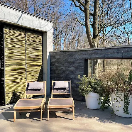 別荘 Betonnen Boshuis By Droomvilla *