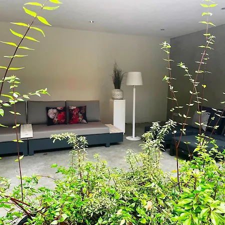 Betonnen Boshuis By Droomvilla בית נופש אוסטרהוט