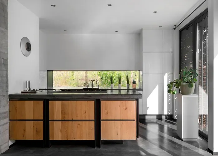 Betonnen Boshuis By Droomvilla Oosterhout