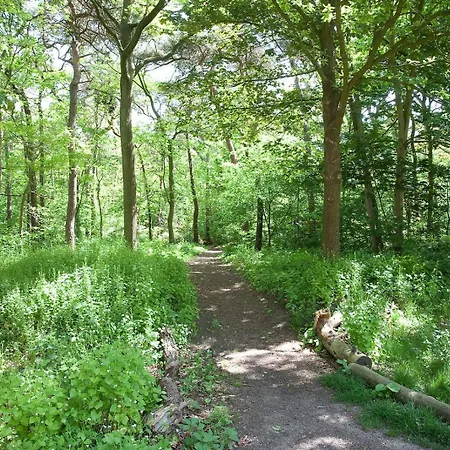 Betonnen Boshuis By Droomvilla Oosterhout (North Brabant)