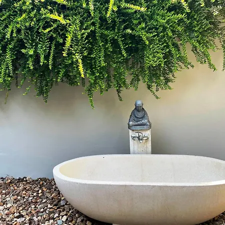 Betonnen Boshuis By Droomvilla *