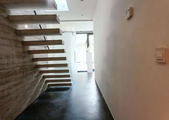 Betonnen Boshuis By Droomvilla