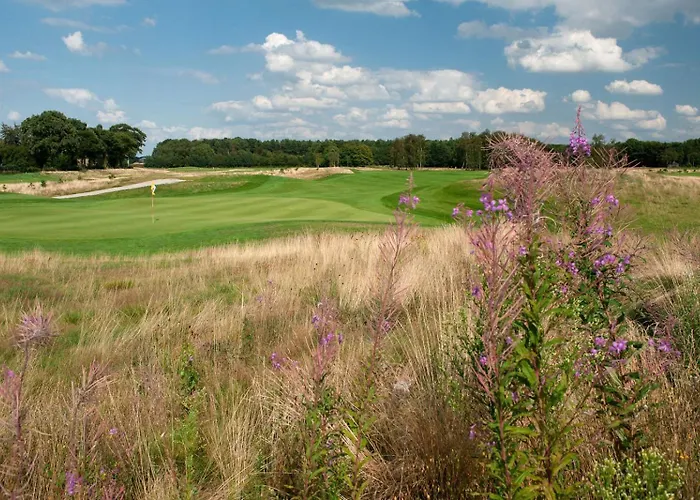 Betonnen Boshuis By Droomvilla Casa de Férias Oosterhout (North Brabant)