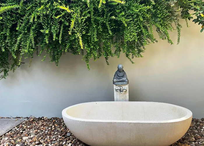 Betonnen Boshuis By Droomvilla *